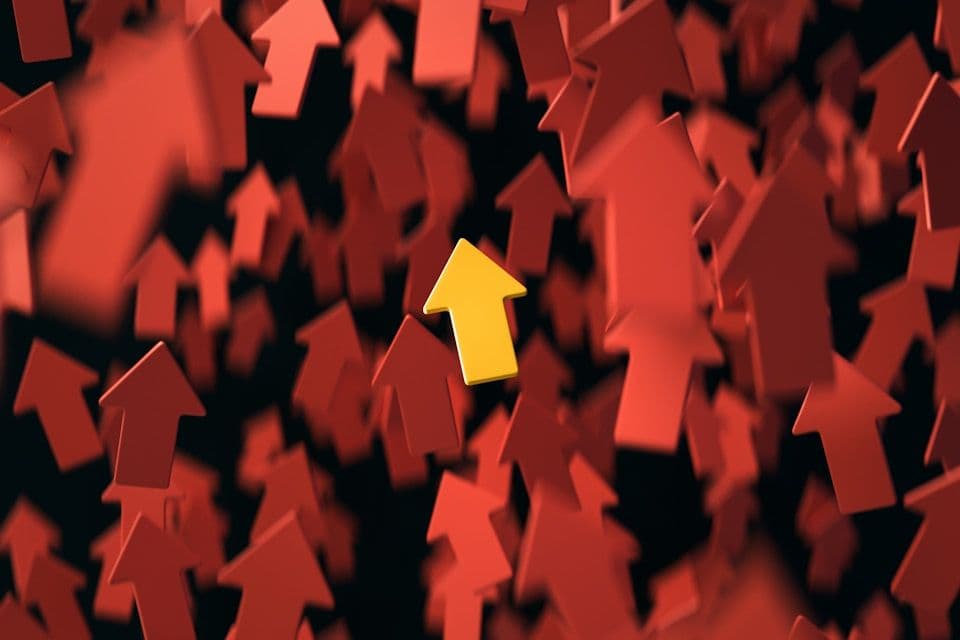 Case Study: How Teckollab Transformed a Basic MVP into a Series A Ready Sports Sponsorship Platform in 6 Months